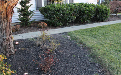 5 Ways to Avoid a Bad Landscape Lighting System