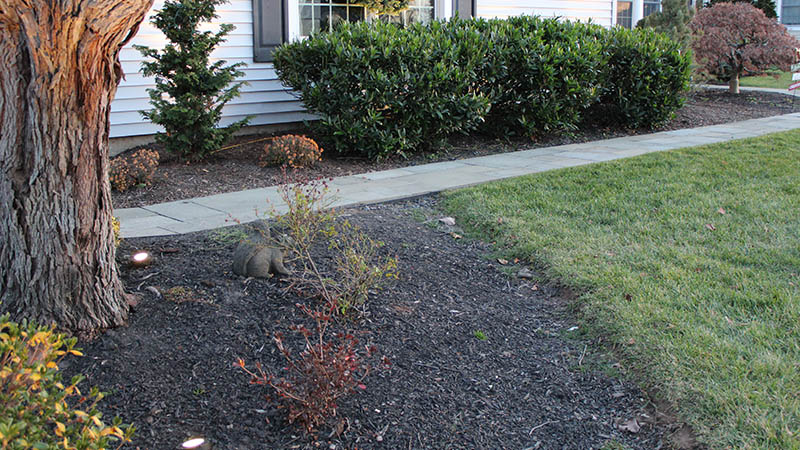 5 Ways to Avoid a Bad Landscape Lighting System